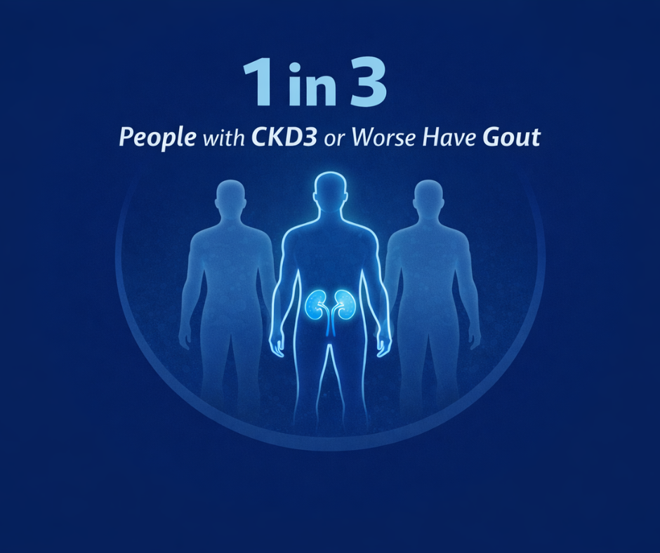 Gout and Kidney Disease: Why the Connection Matters