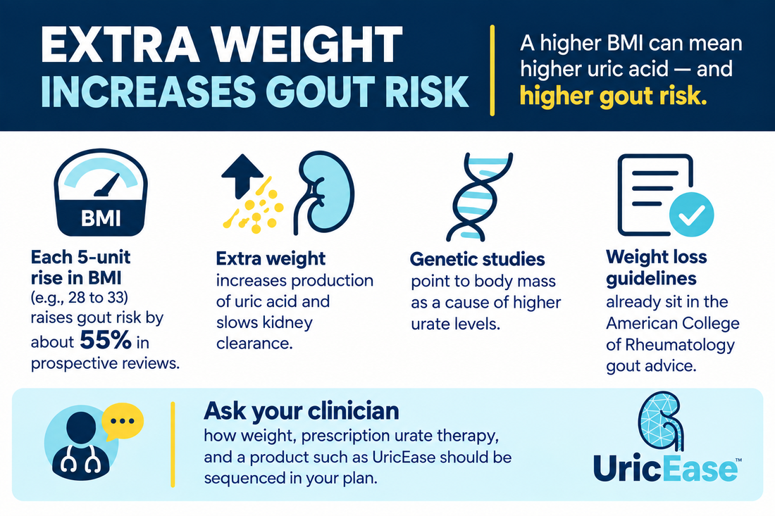 Extra Weight, Higher Gout Risk: What Your BMI Means for Uric Acid